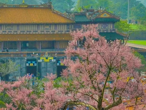 "Festival Nhiếp ảnh quốc tế Việt Nam" lần thứ ba, năm 2025 tại thành phố Huế