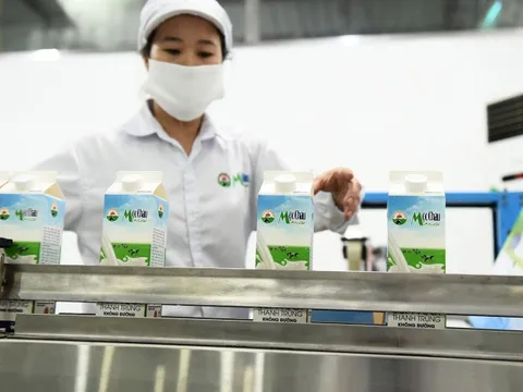 Vinamilk và “ván bài” Mộc Châu Milk