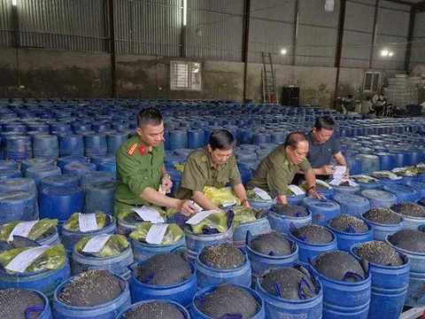 Triệt phá đường dây sản xuất 3.500 tấn giá đỗ ngâm hóa chất