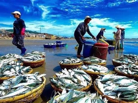 Đa dạng hóa đối tượng nuôi thủy sản để tạo sự đột phá