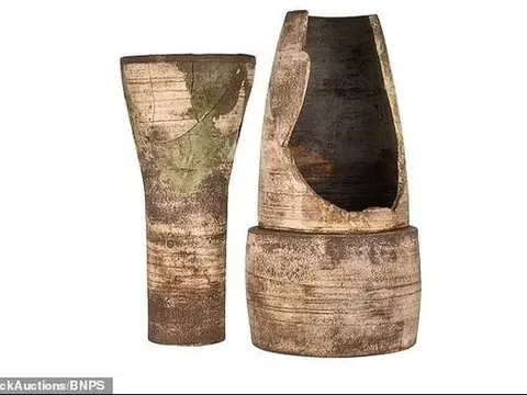 Chậu hoa vỡ làm đôi được bán giá 1,6 tỷ đồng, đại gia bí ẩn vẫn xuống tiền mua