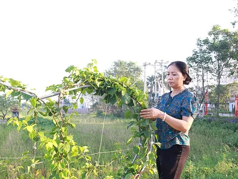 Nữ bí thư chi bộ nhiệt huyết xây dựng nông thôn mới