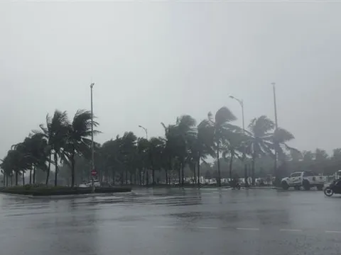 Thông tin ‘bão mạnh xuất hiện tại Quảng Ninh đầu tháng 5’ không có cơ sở khoa học