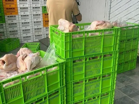 Hà Nội: Ngăn chặn khoảng 20 tấn gà “bẩn” tuồn ra thị trường