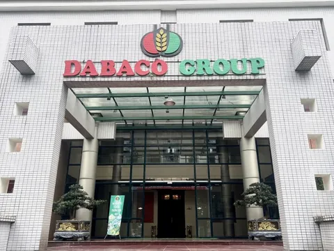 Giá lợn hơi duy trì ở mức cao, Dabaco đạt đỉnh lợi nhuận ngay trong quý I/2025