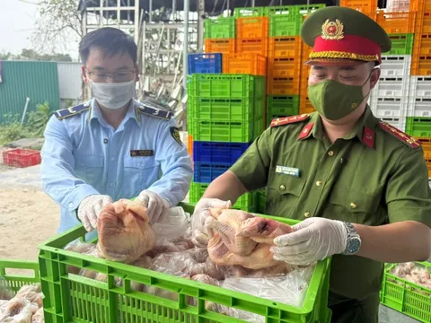 Phát hiện 20 tấn thực phẩm không rõ nguồn gốc ở Hà Nội