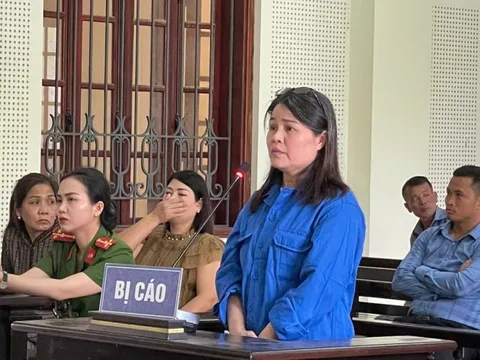Mánh khoé của nữ luật sư "dởm" lừa đảo chiếm đoạt gần 7 tỷ đồng