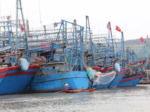 Triển khai đồng bộ các biện pháp chống khai thác thủy sản IUU
