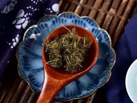 Loại cây mọc dại, đem phơi khô quý như "nhân sâm người nghèo", ít ai biết tới