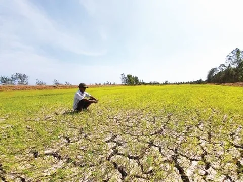 Xâm nhập mặn ở ĐBSCL giảm dần, lượng nước về các sông miền Bắc thấp