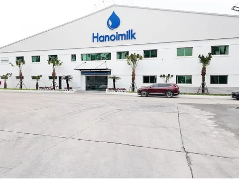 Ánh sáng le lói trong bức tranh kinh doanh của Hanoimilk