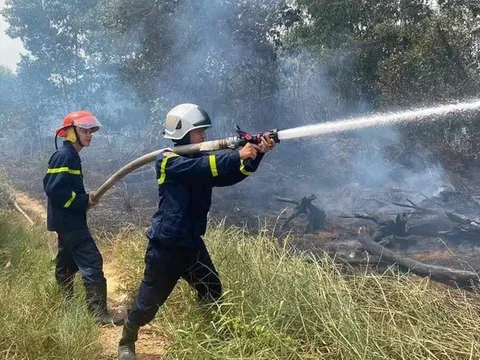 Miền Trung chủ động phòng 'giặc lửa' giữ rừng mùa khô