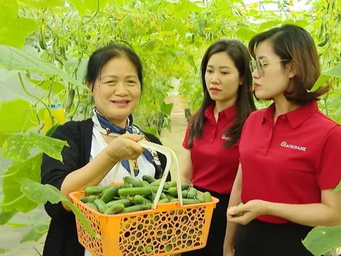Dòng vốn ưu đãi 50.000 tỷ đồng từ Agribank: Tiếp sức sản xuất, đồng hành cùng triệu hộ kinh doanh