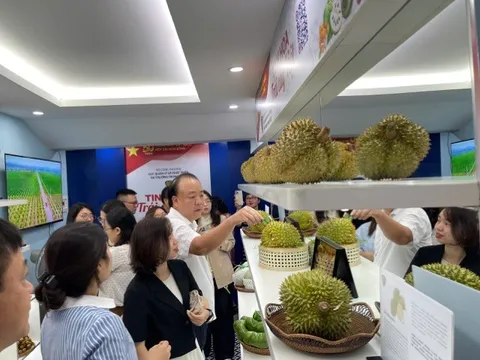 Khai mạc Phòng trưng bày chuyên đề với chủ đề “Tinh hoa trái cây Việt”
