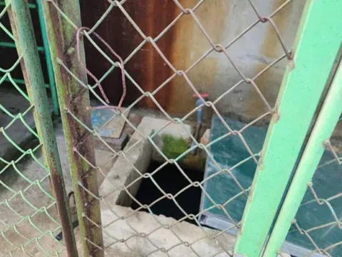 Bé trai tử vong trong bể nước ở trường mầm non