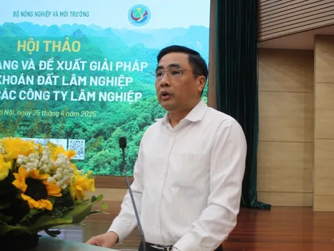 Giao khoán đất lâm nghiệp: Nhiều gợi ý từ thực tiễn