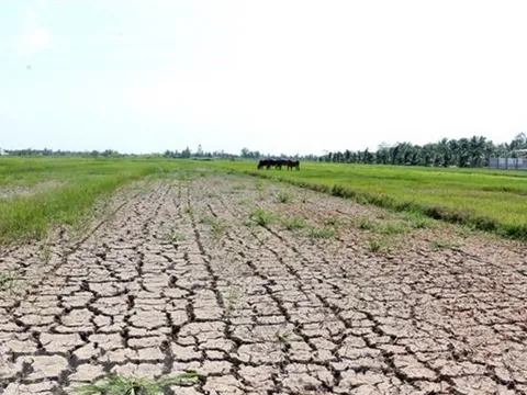 Chủ động ứng phó với hạn hán