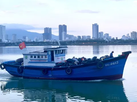 Đà Nẵng duy trì chống khai thác IUU để phát triển ngư nghiệp bền vững