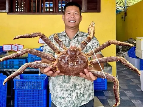 Từ chàng trai phụ hồ đến ông chủ chuỗi cửa hàng hải sản ở Hà Nội: Khởi nghiệp từ ước mơ chữa bệnh cho bố