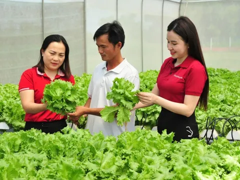 Agribank góp phần thúc đẩy kinh tế tư nhân