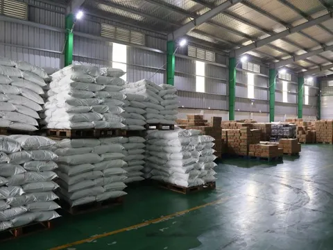 Đột kích xưởng làm giả 71 nghìn lít dầu ăn, 40 tấn mì chính