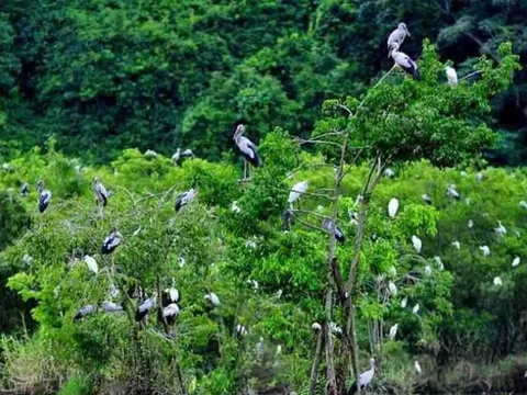 Khu Bảo tồn thiên nhiên Xuân Liên chính thức trở thành Vườn Quốc gia