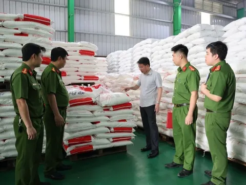 Đề nghị rà soát, thu hồi sản phẩm mỳ chính giả của công ty TNHH Famimoto Việt Nam