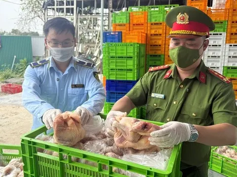 Ngăn chặn gần 20 tấn gà bốc mùi chuẩn bị tuồn ra thị trường