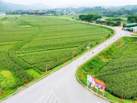 Hà Tĩnh sẽ có bao nhiêu đơn vị cấp xã không sáp nhập?