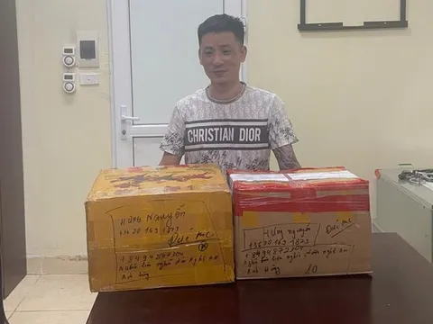 Phát hiện hơn 4,2kg ma túy giấu trong 26 hộp thực phẩm chức năng