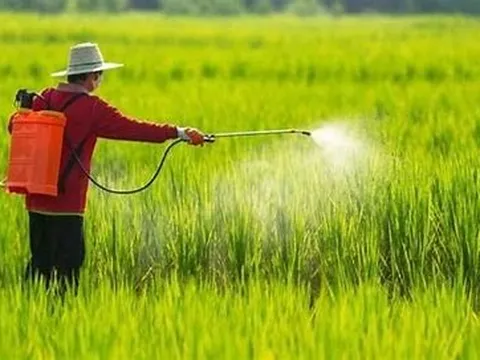 Chuẩn hóa thủ tục trong trồng trọt và bảo vệ thực vật