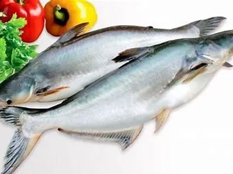 Triển vọng cho xuất khẩu cá tra