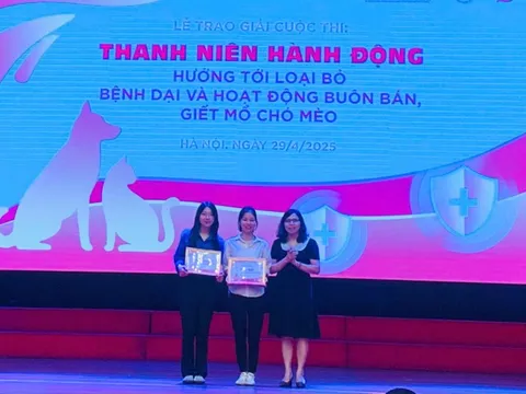 Hướng tới loại bỏ bệnh dại và nạn buôn bán giết mổ chó, mèo