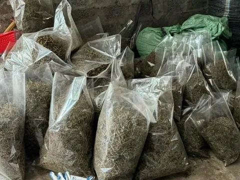 Công an Hà Nội triệt phá thành công ổ nhóm buôn bán thuốc nam giả