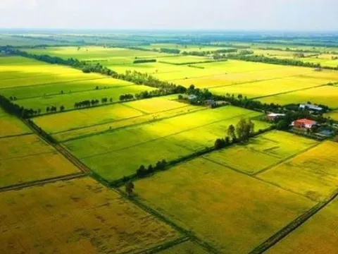 Mức xử phạt đối với hành vi lấn chiếm đất theo quy định mới nhất