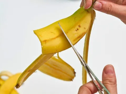 Đừng chỉ ăn ruột, vỏ loại quả này rất tốt cho sức khỏe, nhiều người tiếc hùi hụi vì chưa biết