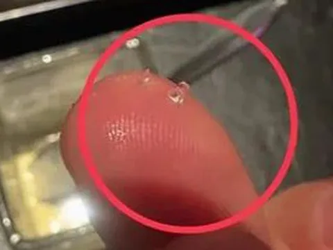 Đang ăn kem, người đàn ông "tái mặt" khi phát hiện thứ đáng sợ
