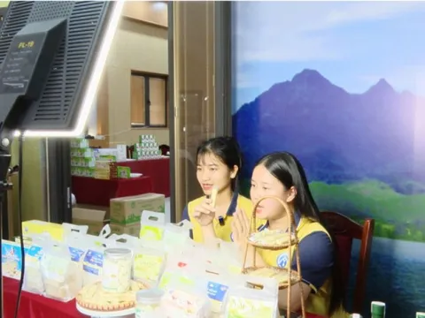 Huyện Ba Vì nâng cao năng lực cho các chủ thể OCOP