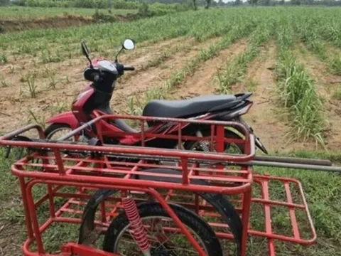 Đi xe máy trên cánh đồng mía, người đàn ông 61 tuổi bị sét đánh tử vong