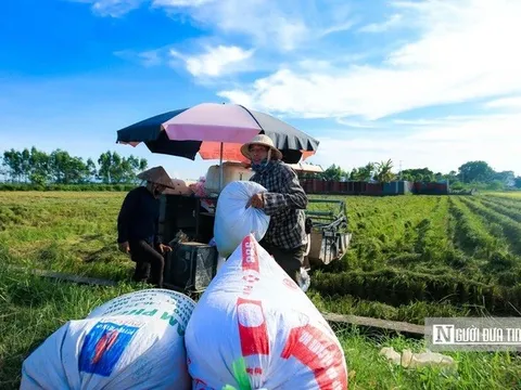 ADB cam kết hỗ trợ 40 tỷ USD cho an ninh lương thực