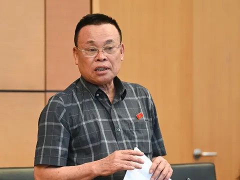Vụ gần 600 loại sữa giả phơi bày tình trạng "đá bóng" trách nhiệm