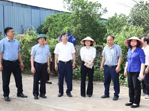 Hà Nội: Tạm dừng điều hành đối với 3 Chủ tịch xã ở Quốc Oai