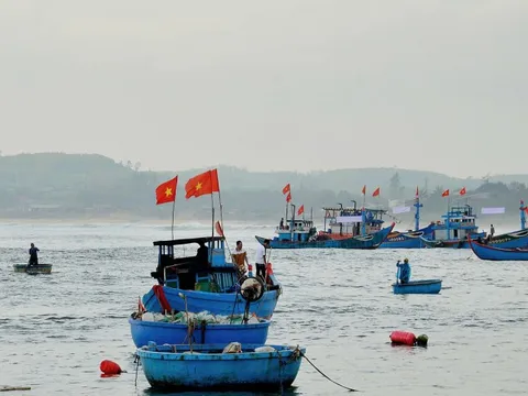 Quảng Ngãi tiếp tục nỗ lực chống khai thác IUU