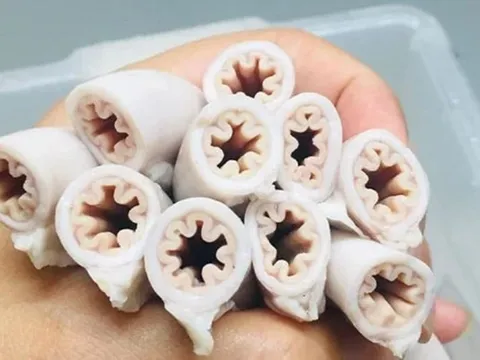 Tp.HCM vào cuộc kiểm tra mặt hàng “lòng se điếu”