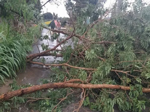 Mưa lớn kèm dông lốc gây thiệt hại tại nhiều địa phương
