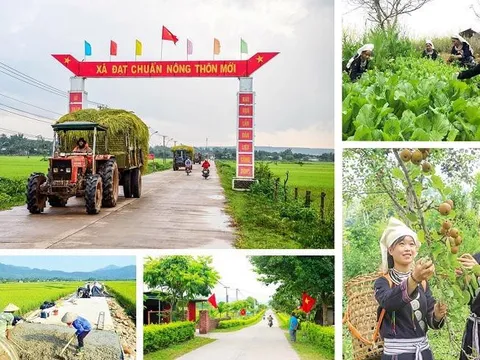 Điều chỉnh vốn ngân sách thực hiện Chương trình mục tiêu quốc gia xây dựng nông thôn mới