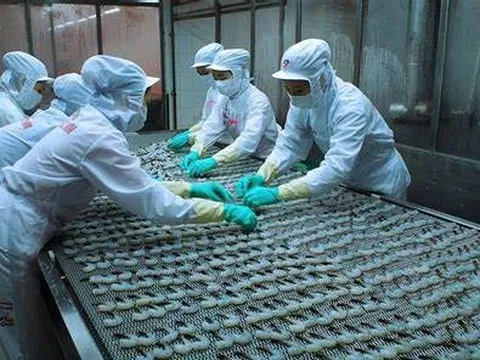 Xuất khẩu thủy sản đạt trên 3 tỷ USD