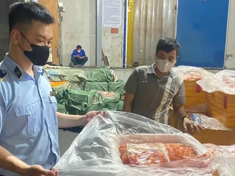 Phát hiện kho đông lạnh chứa hơn 7 tấn nội tạng không rõ nguồn gốc