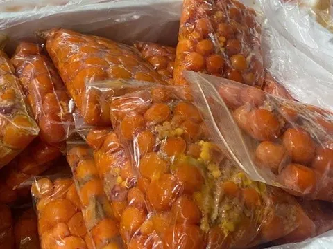 Cận cảnh hơn 7 tấn nội tạng động vật bốc mùi nồng nặc tìm đường tiêu thụ tại Hà Nội