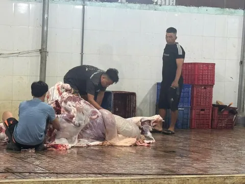 Lập biên bản 2 cơ sở mổ bò, heo "chui" tại Đồng Nai